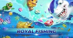 royal555