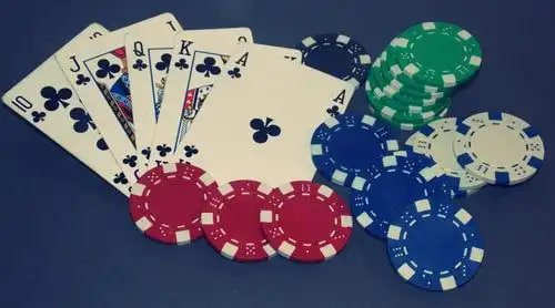 royal555
